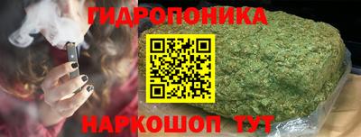 СК Гусев