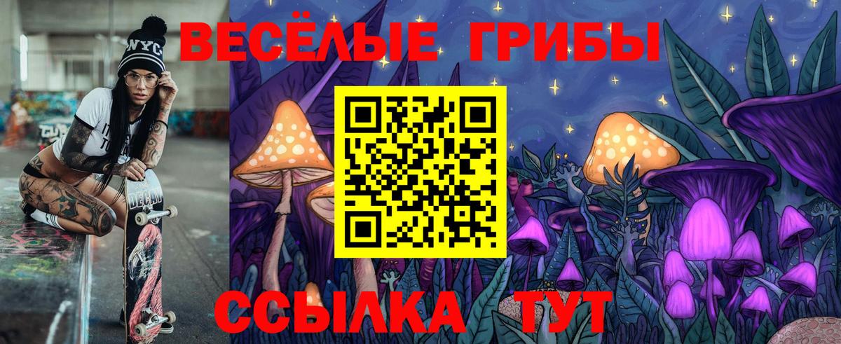 Галлюциногенные грибы мицелий  Вход с VPN  Михайловка 