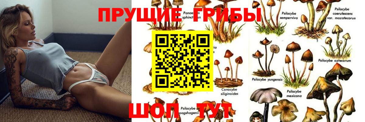 Галлюциногенные грибы Cubensis Михайловка