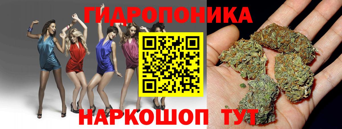 Бошки марихуана сатива  Вход с VPN  Михайловка  Бошки марихуана сатива  Бошки Шишки White Widow 
